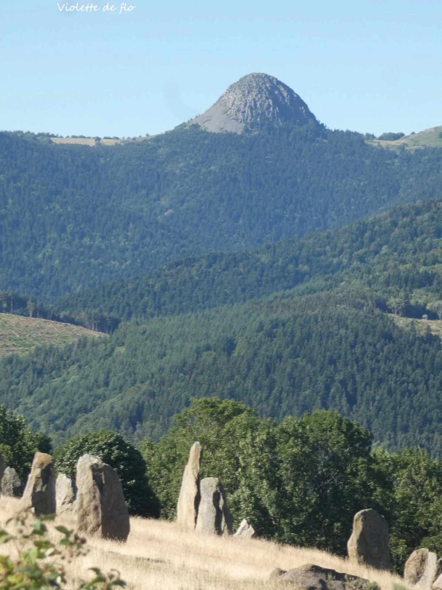 le mont GERBIER du tchier de Borée