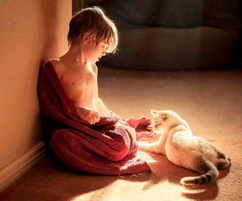 Le chat et l'enfant.